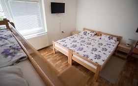 Hostel Larisa